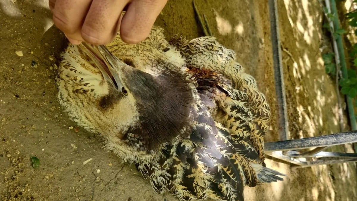 Фото жителя Актау