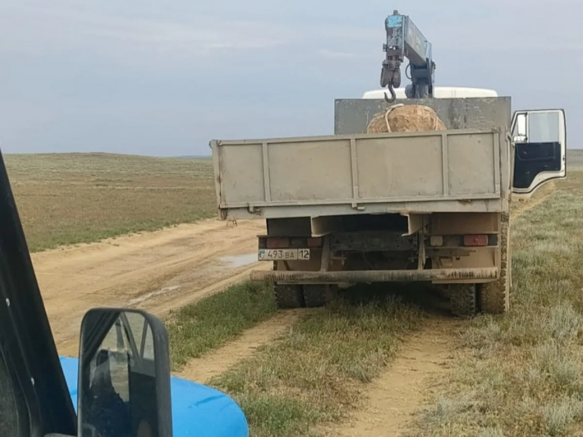 Фото департамента полиции