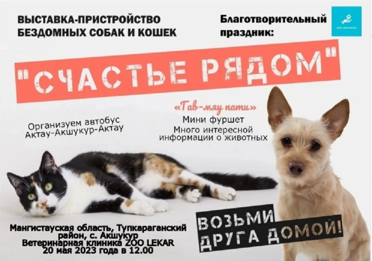 Иллюстративное фото