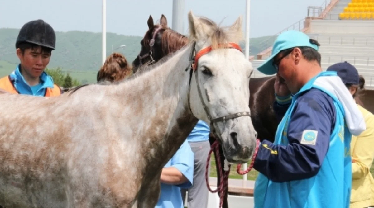 Фото из доступных источников