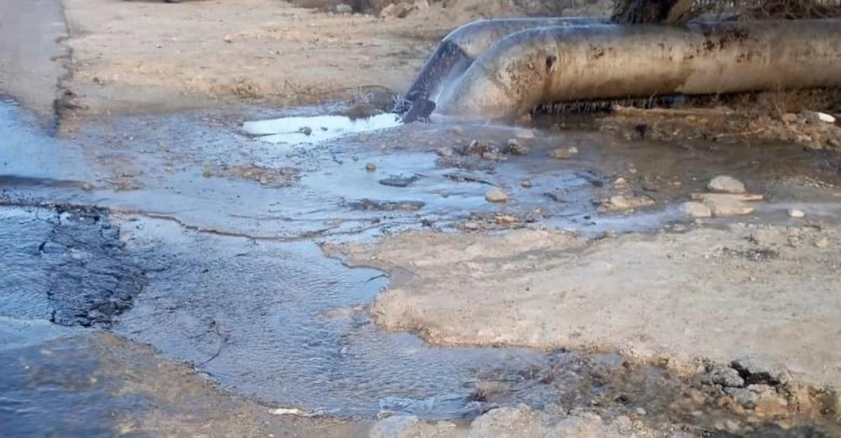 Фото из архива lada.kz