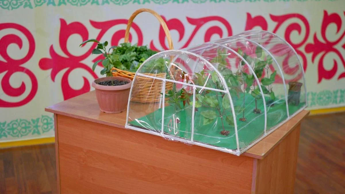 Фото Центра общественных коммуникаций