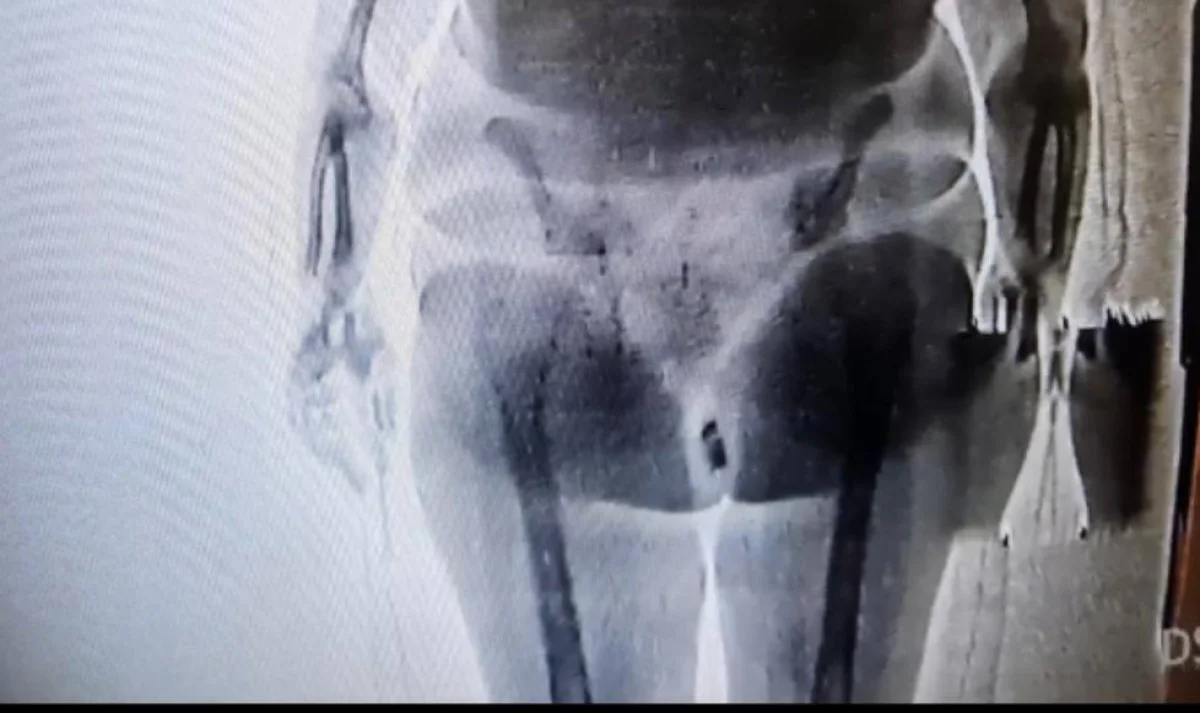 Фото Polisia.kz.