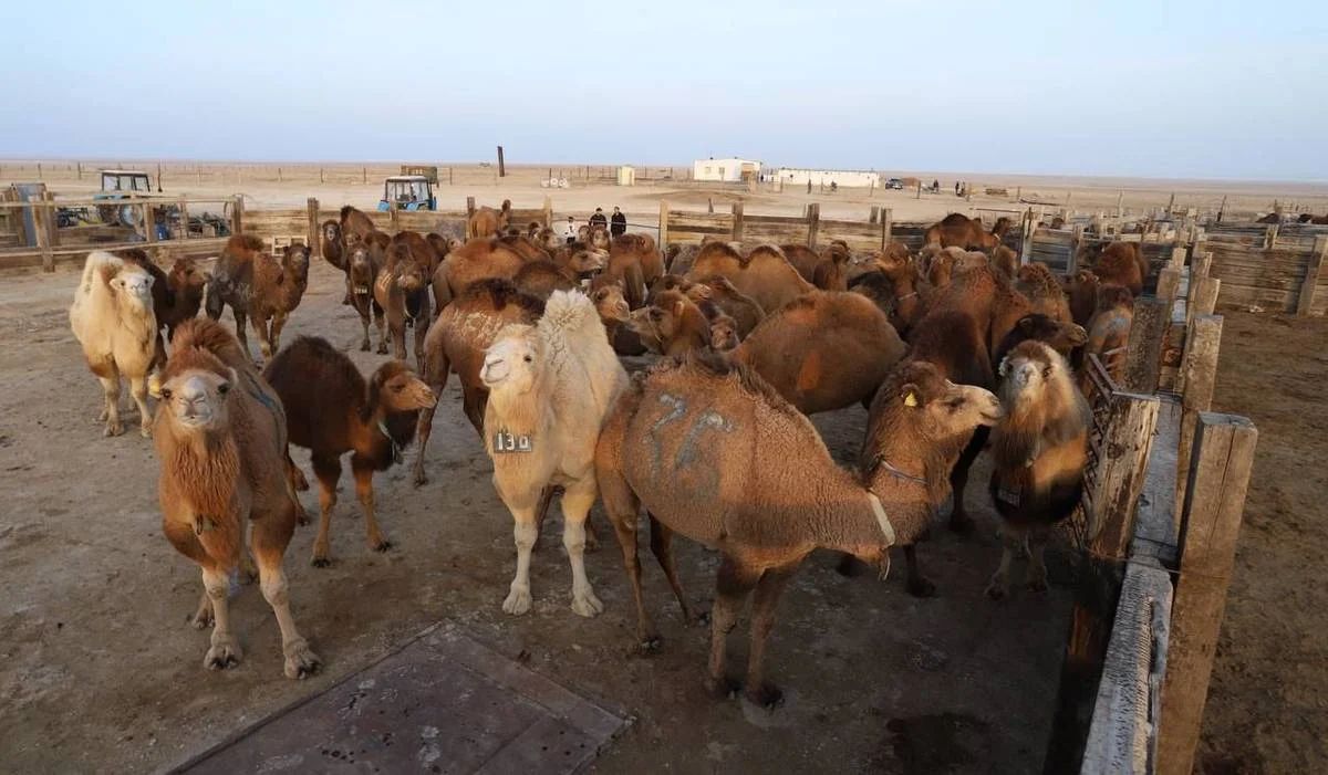 фото центра общественных коммуникаций