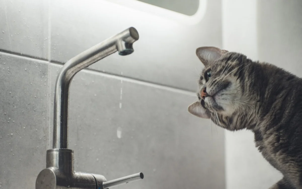 Иллюстративное фото из открытых источников