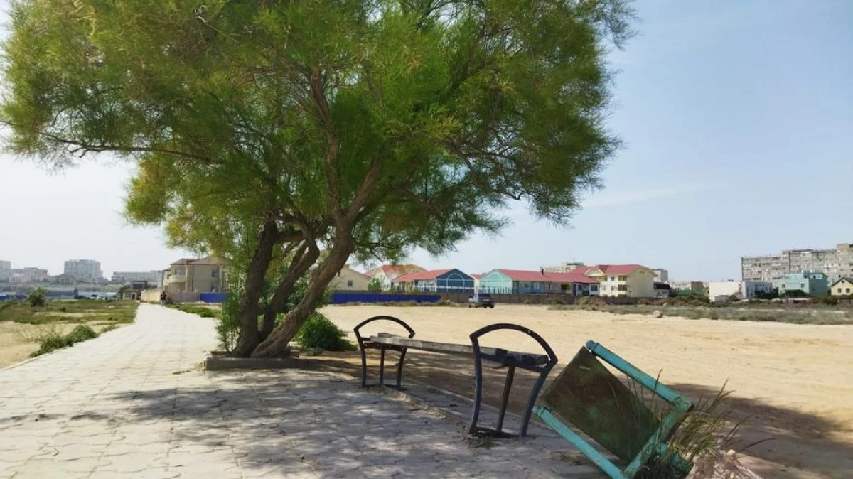 Фото жителей 1 микрорайона