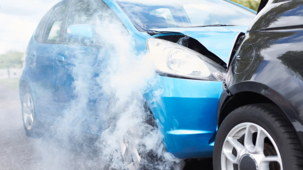 Фото elements.envato.com