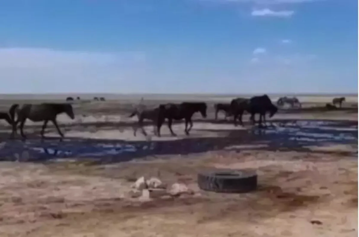 Кадр с видеоролика