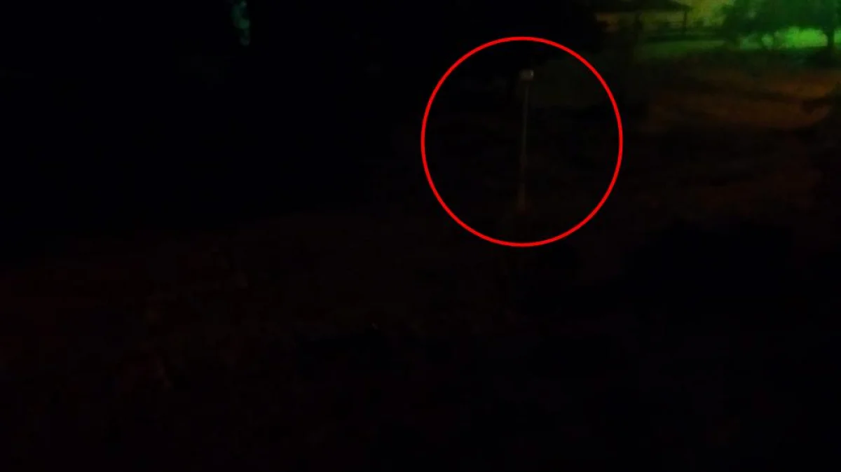 Фото жителей дома №37 в 11 микрорайоне