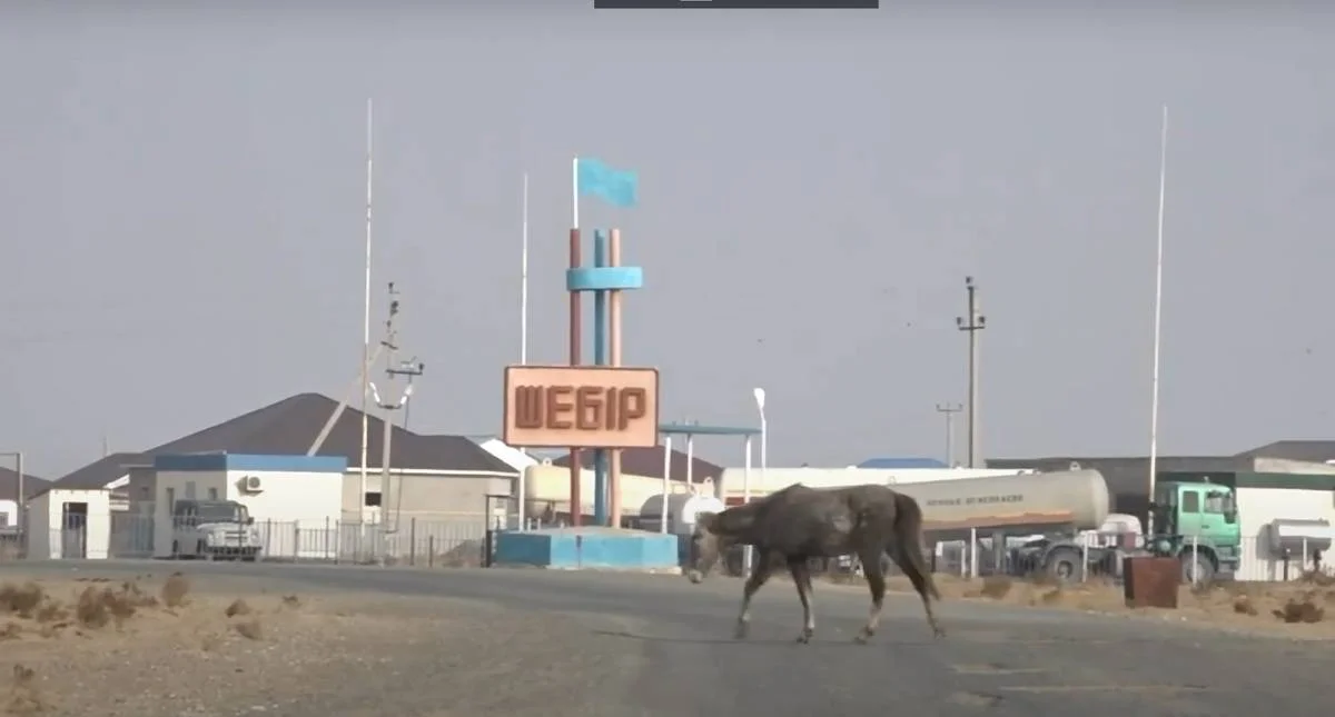 Кадр из видео с Ютуб-канала &quot;СӨЗ БЕН САЗ&quot;