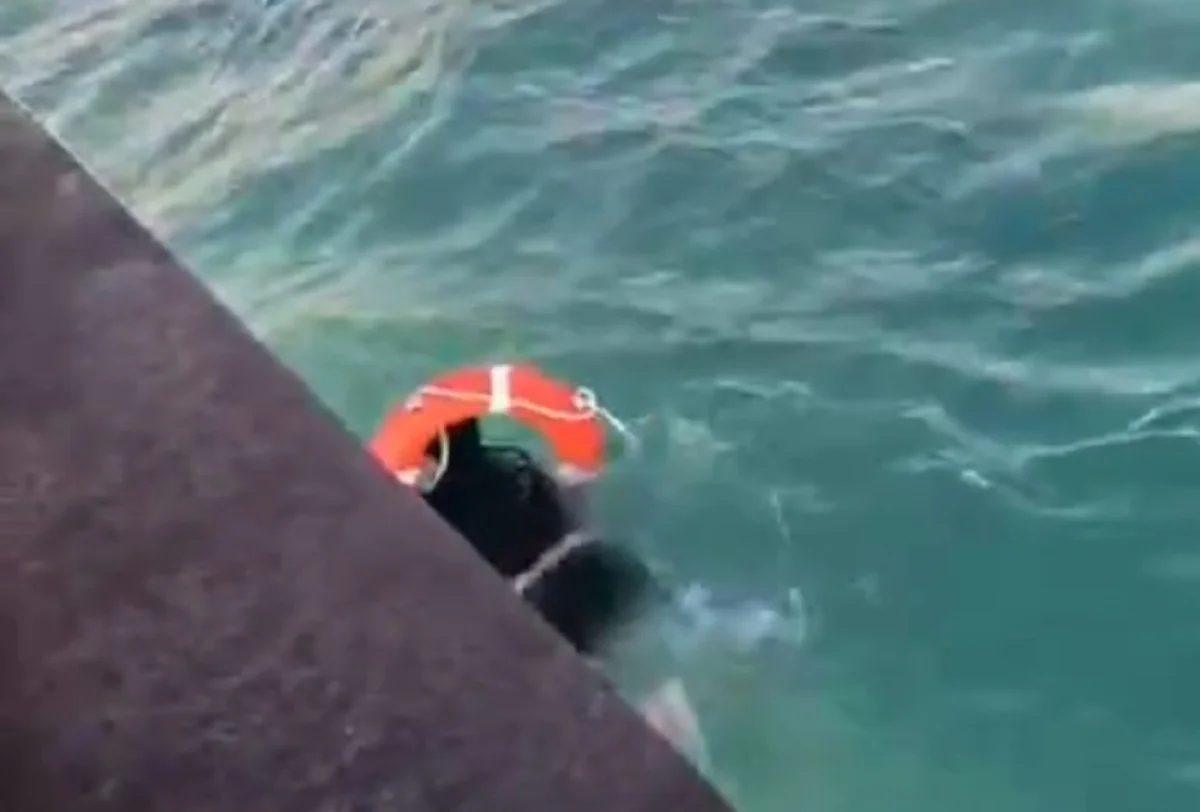 Кадр из видео