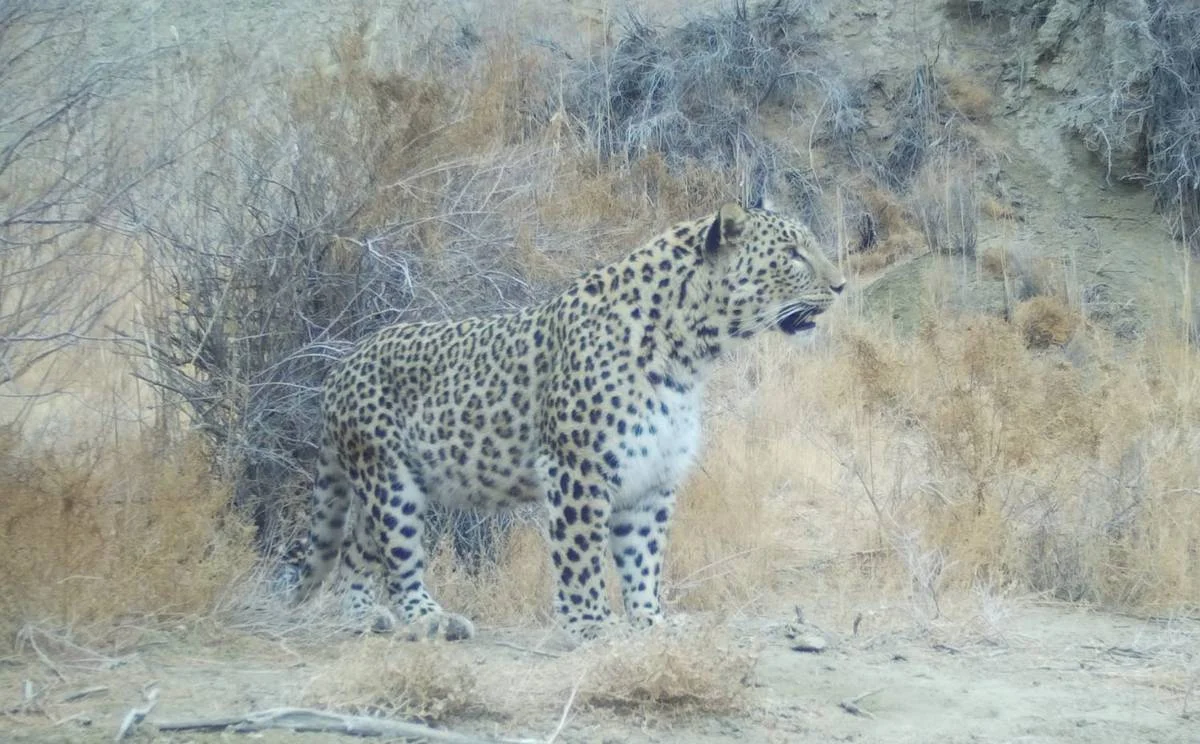 Фото предоставлено управлением природных ресурсов