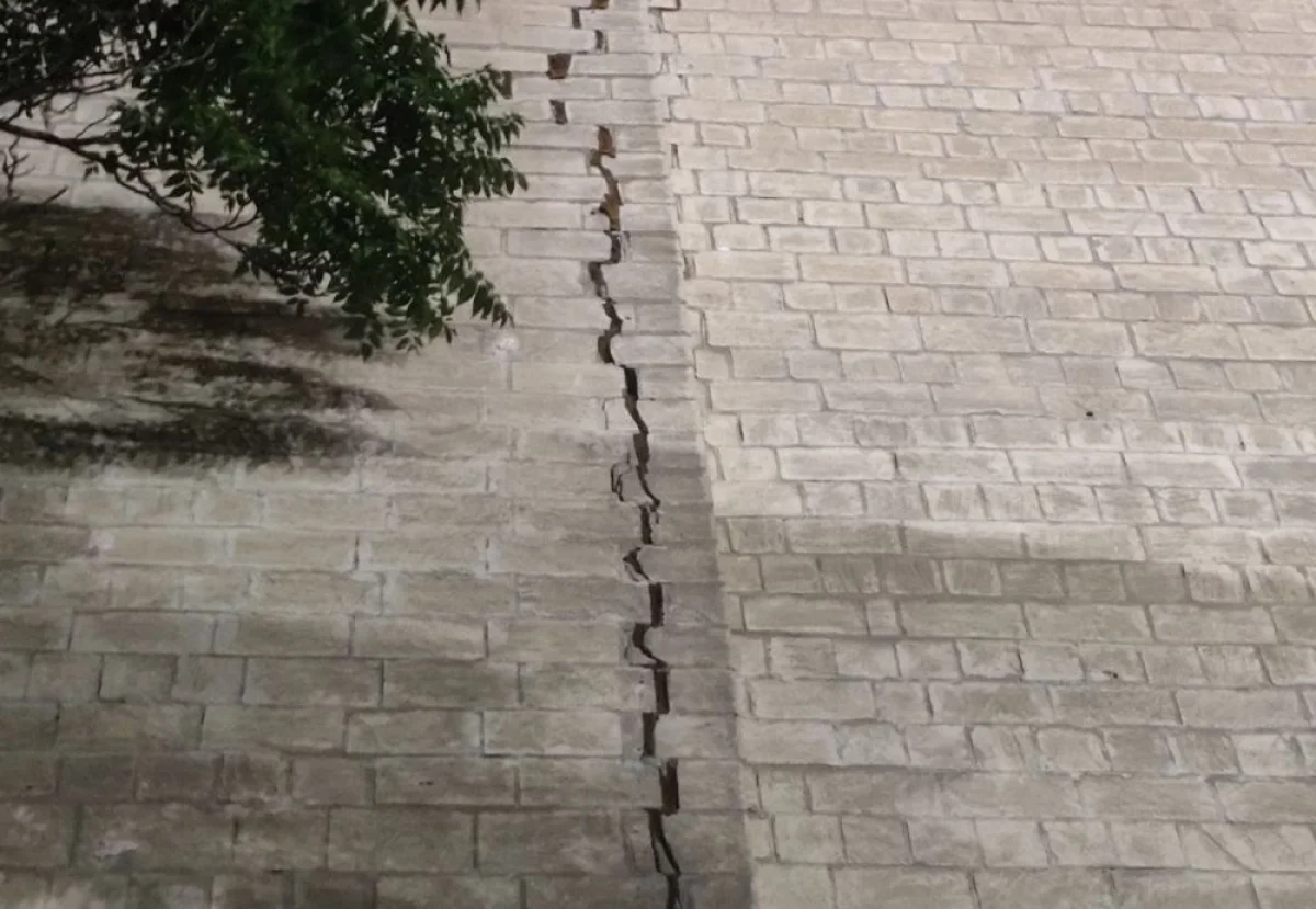 Фото пользователя Сети