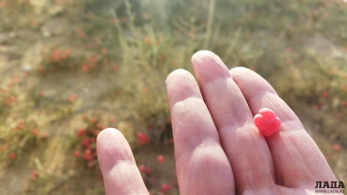 Фото предоставили туристы