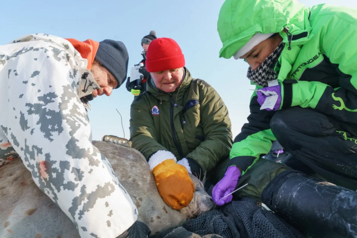 Фото из архива Асель Тасмагамбетовой