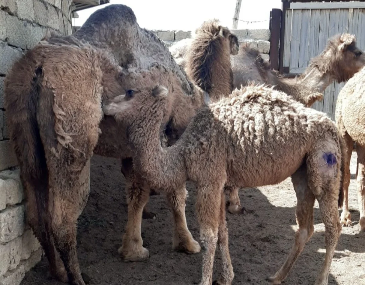 фото центра общественных коммуникаций