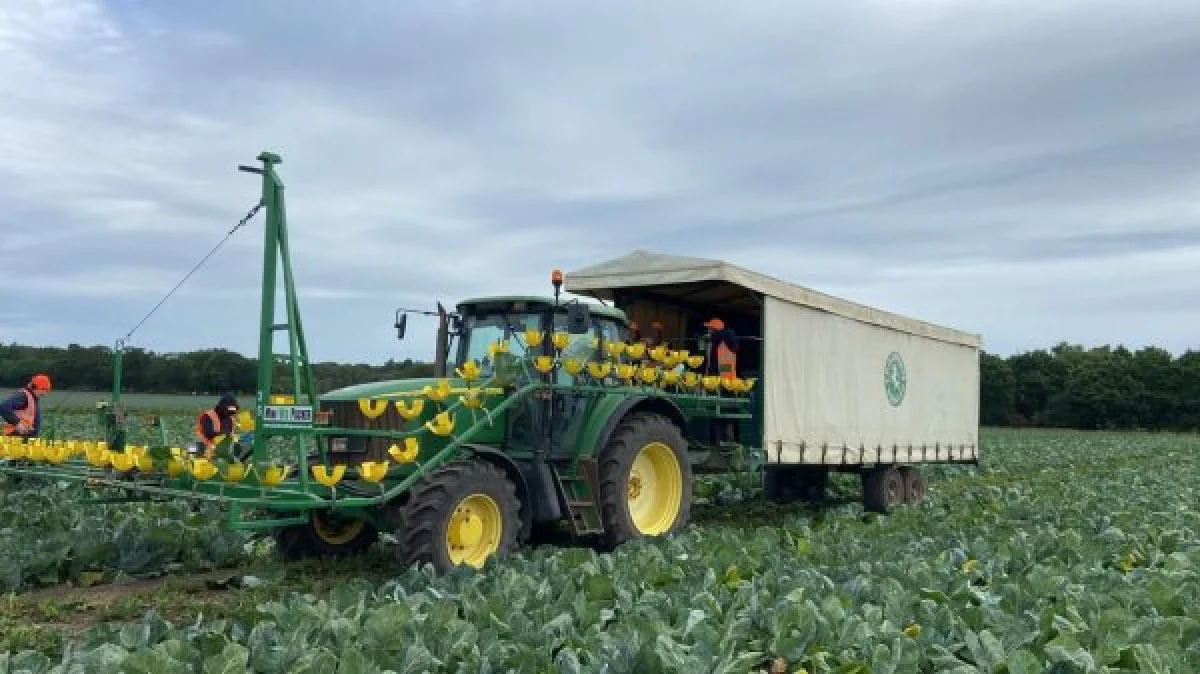 Фото Ильдара Ягъяева