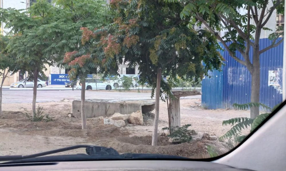 Фото жителей 12 микрорайона