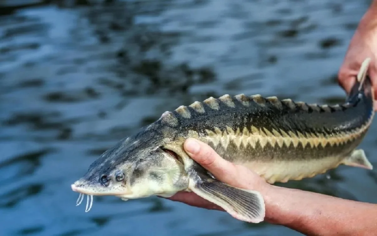 Иллюстративное фото