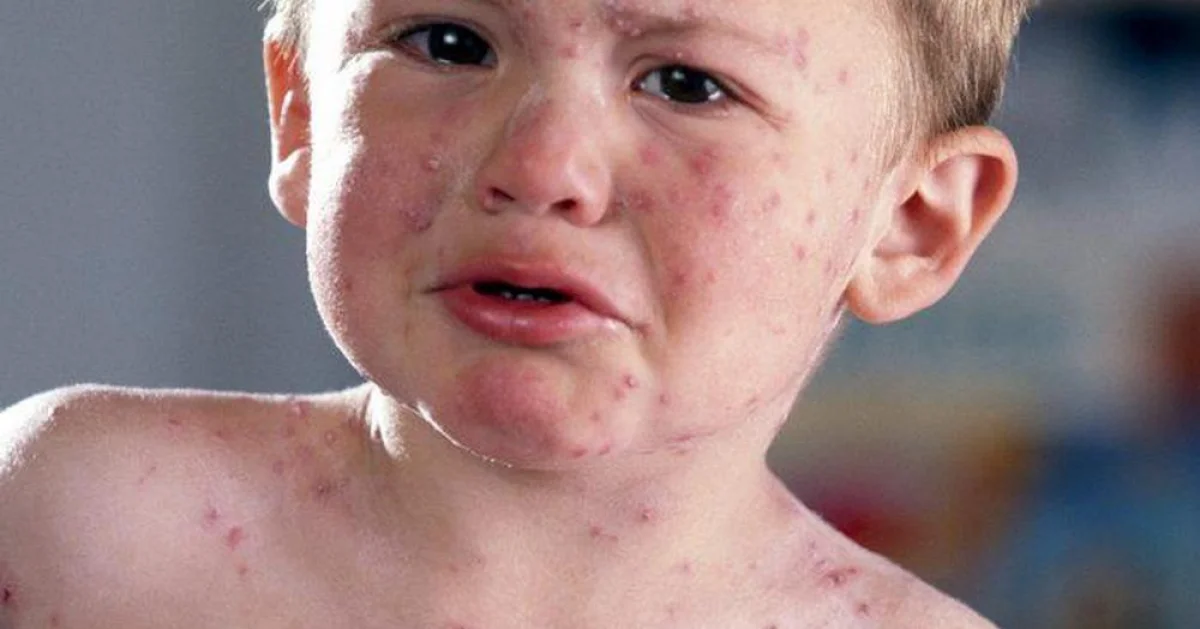 Фото из открытых источников.