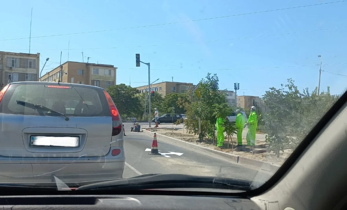 Фото пользователя Сети