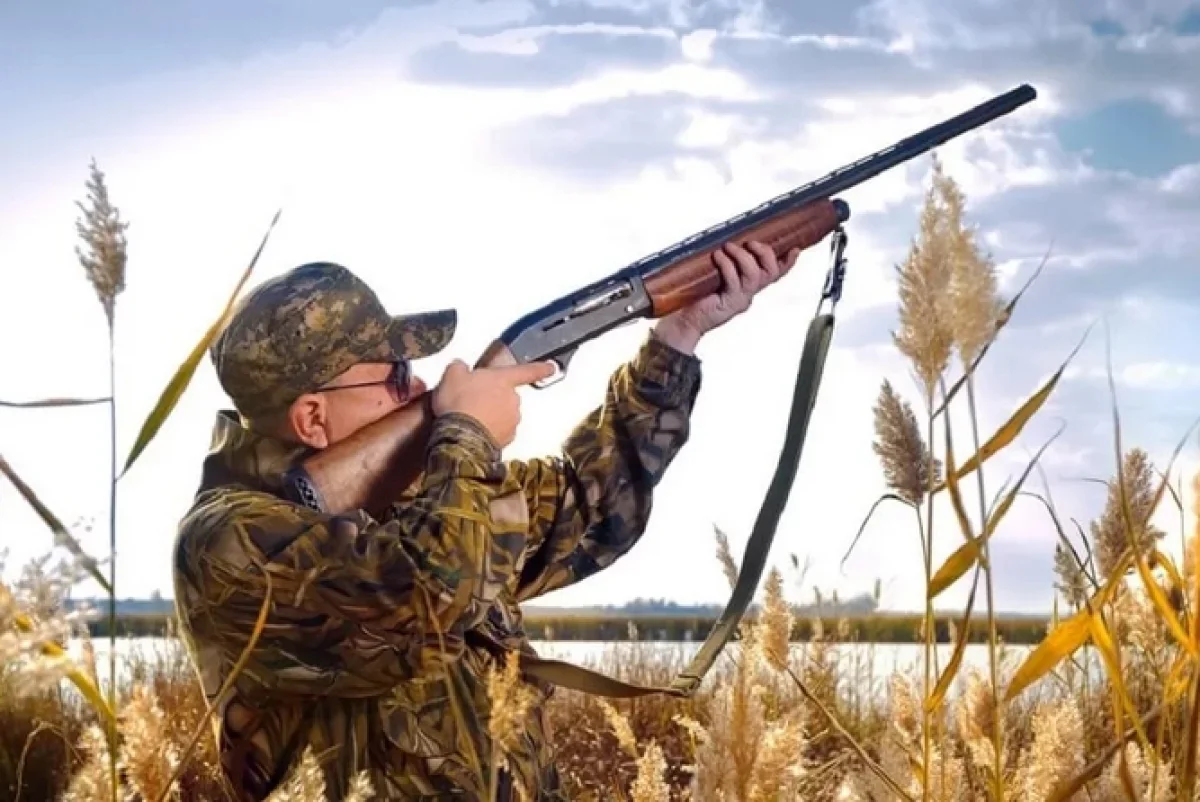 Иллюстративное фото