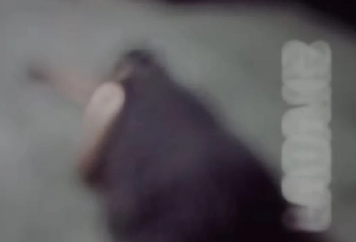 Коллаж из кадров видео