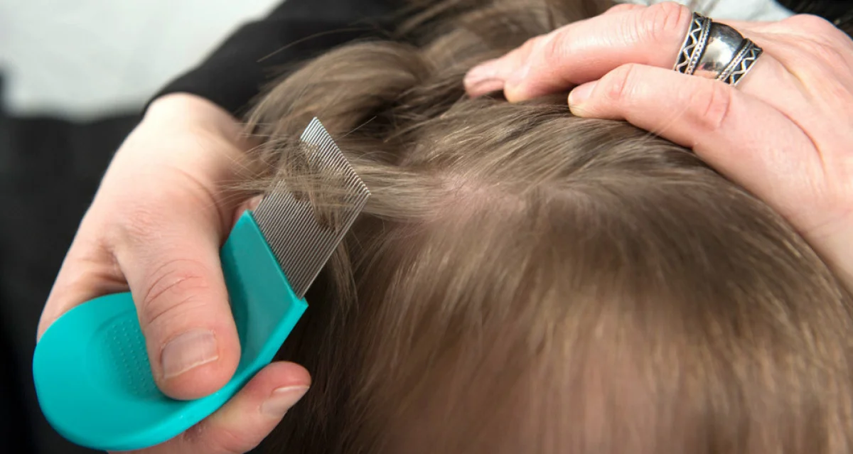 _фото из открытых источников