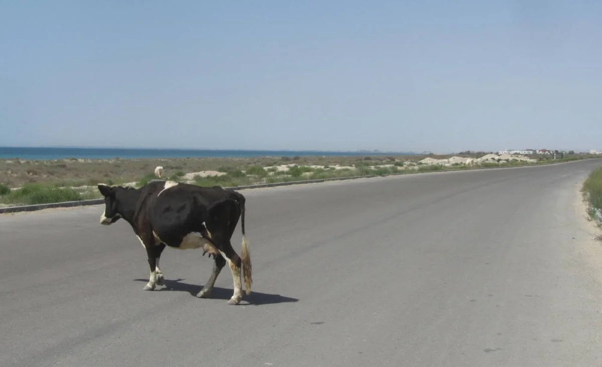 Фото местных жителей