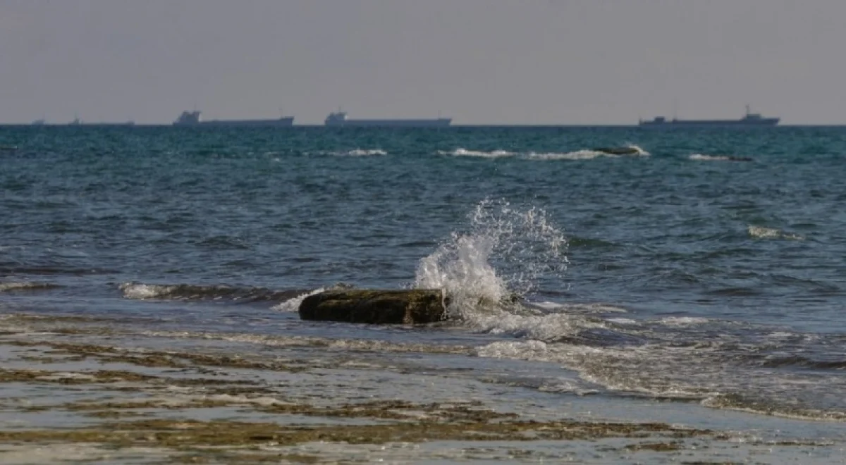 Фото из открытых источников