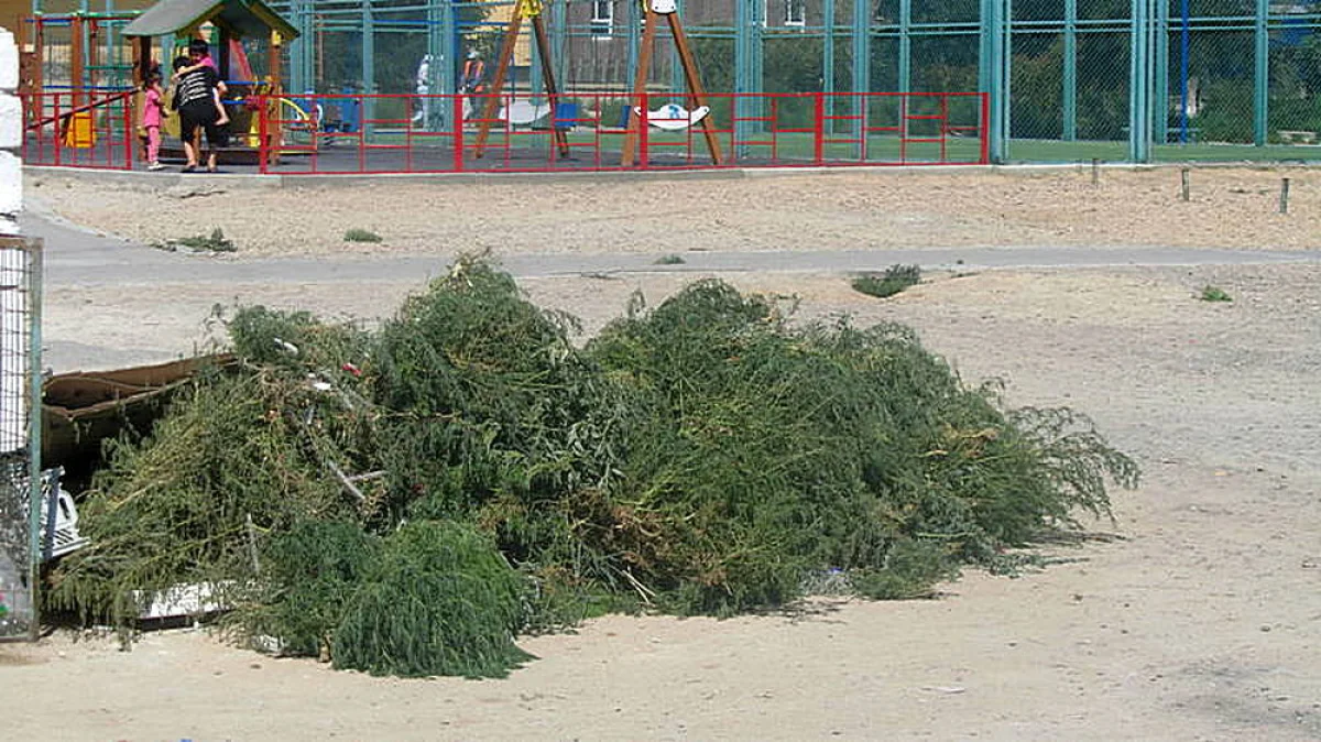 Фото горожан