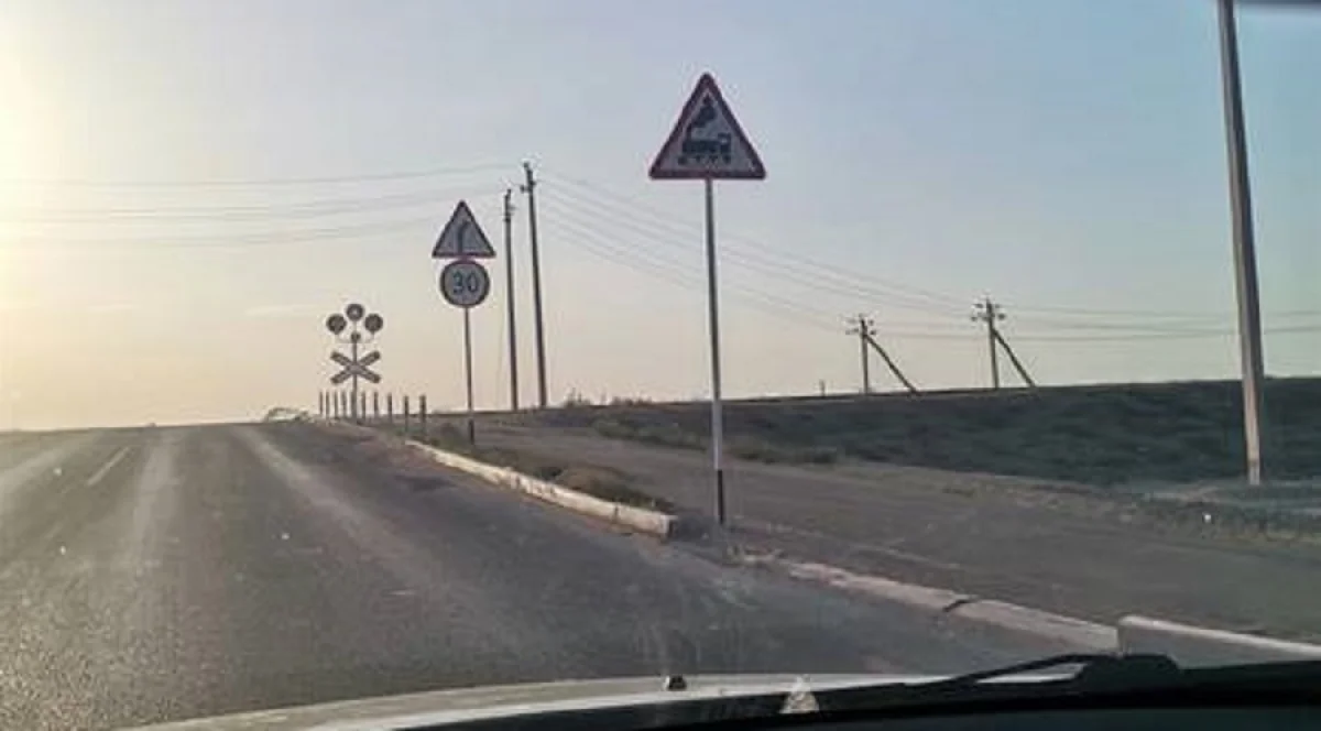 Фото пользователя Сети