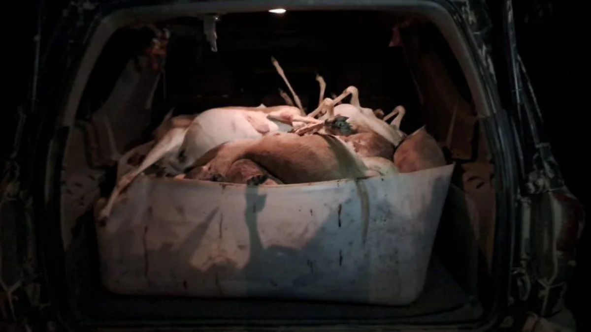 Фото предоставили в РГКП «Охотзоопром».