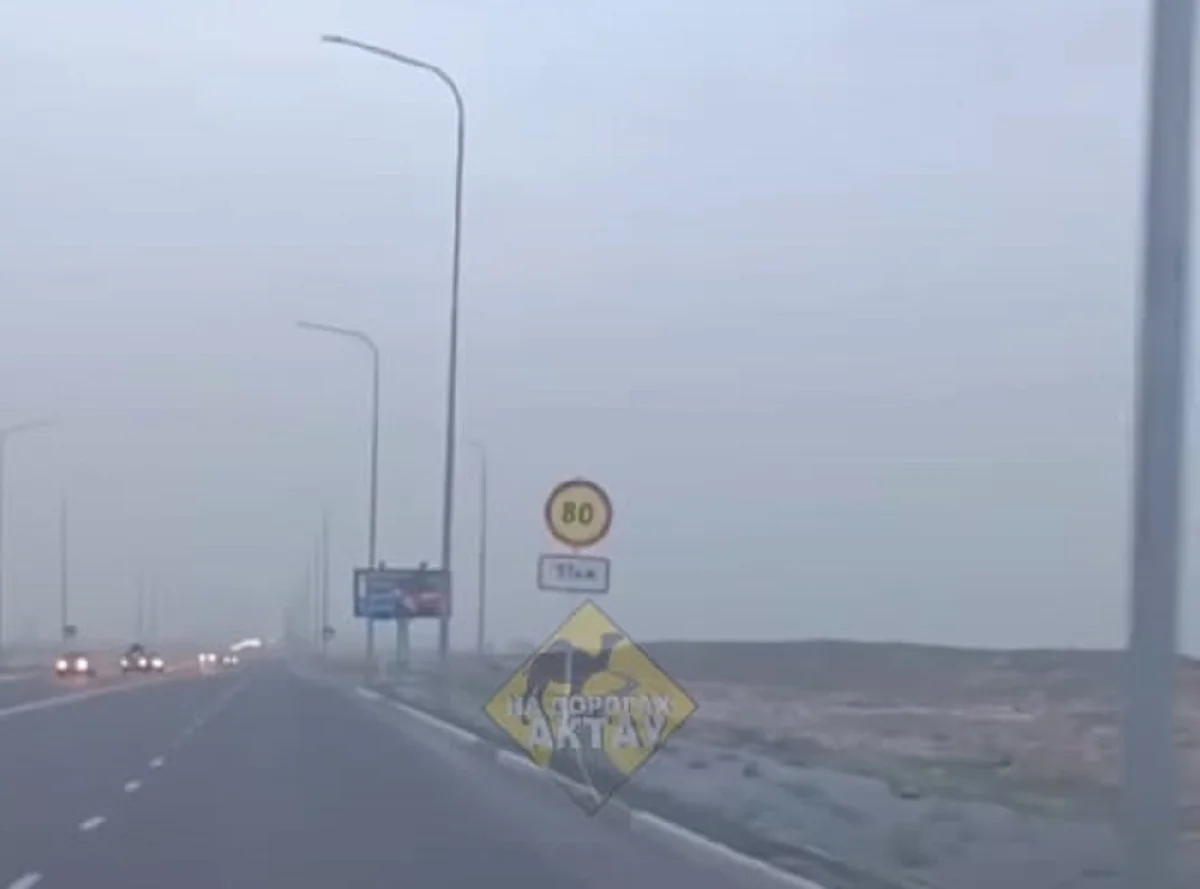 Кадр из видео со страницы Na_dorogah_Aktau