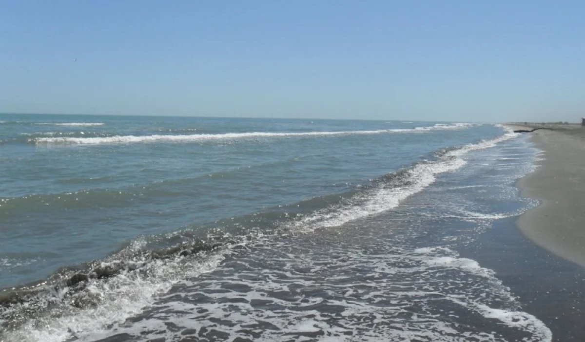 Иллюстративное фото из открытых источников