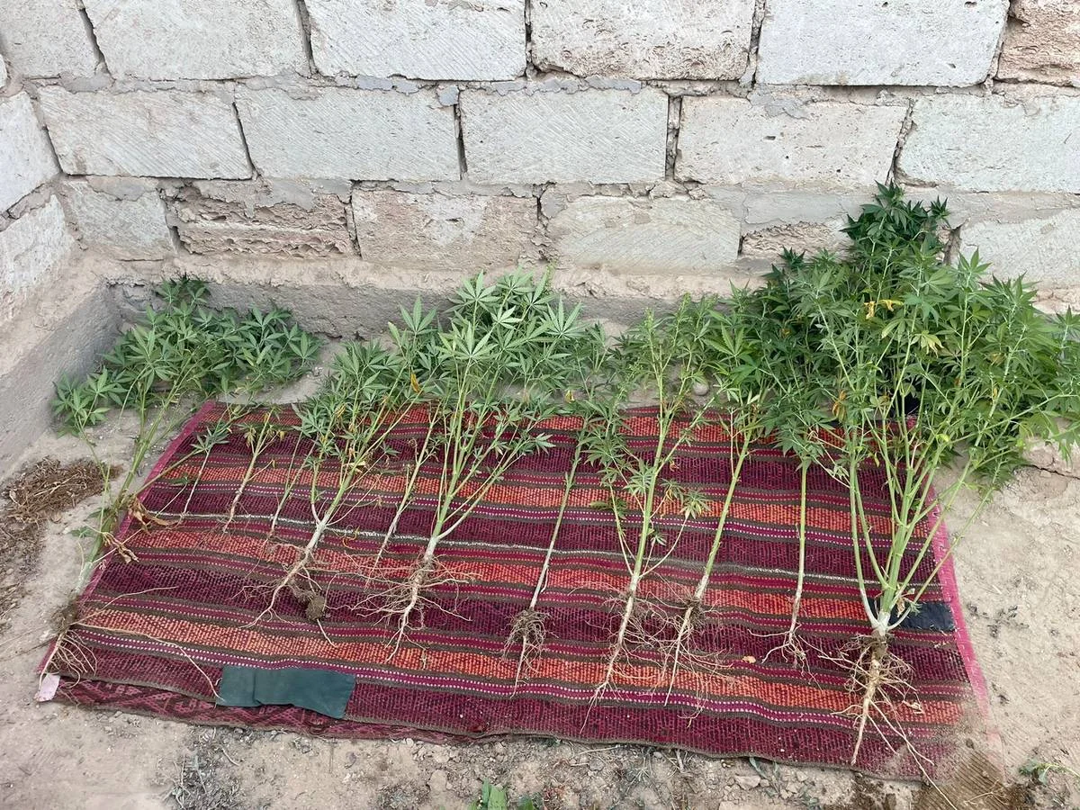 фото полиции