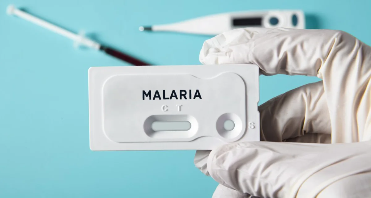 _фото из открытых источников