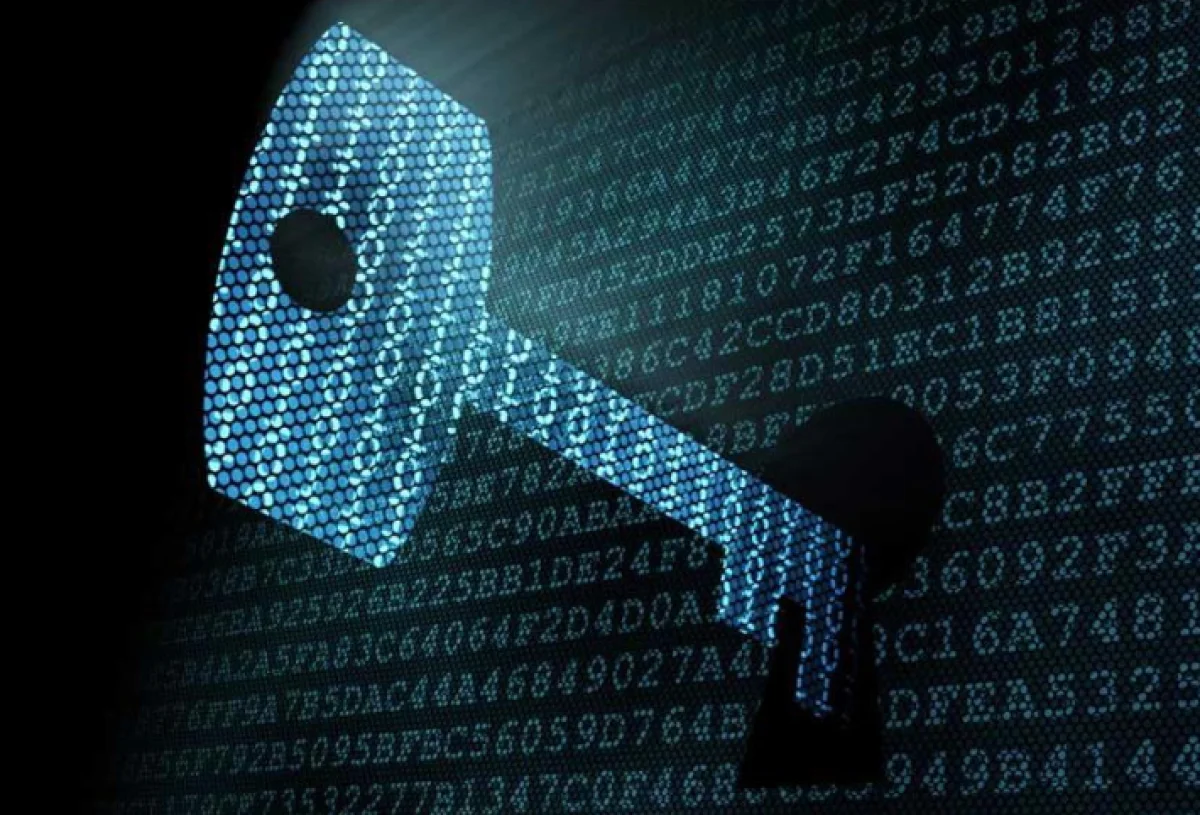 Фото из открытых источников.