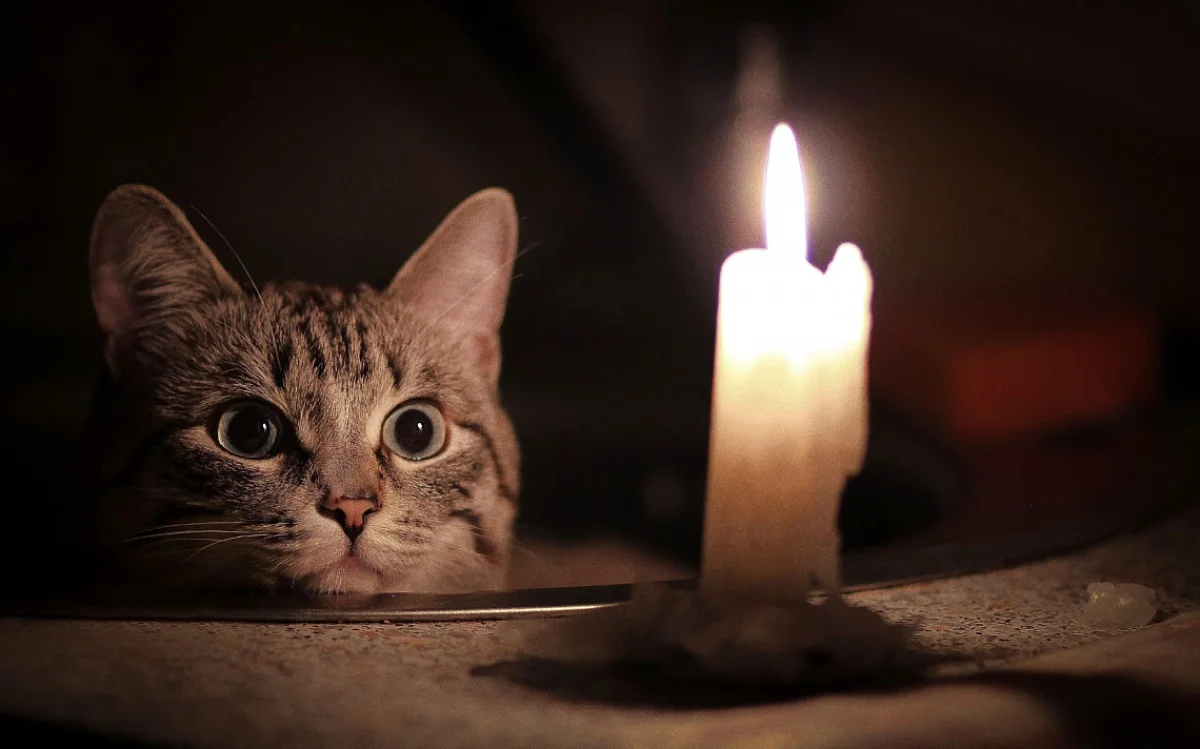 Фото из доступных источников