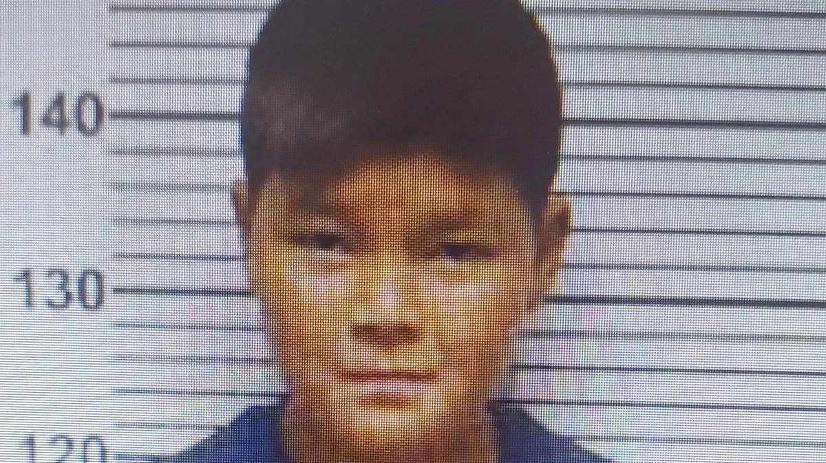 Фото предоставили волонтеры