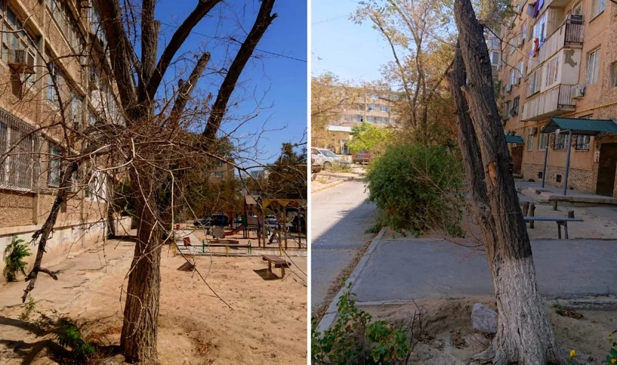 Фото жителей дома №12 в 11 микрорайоне