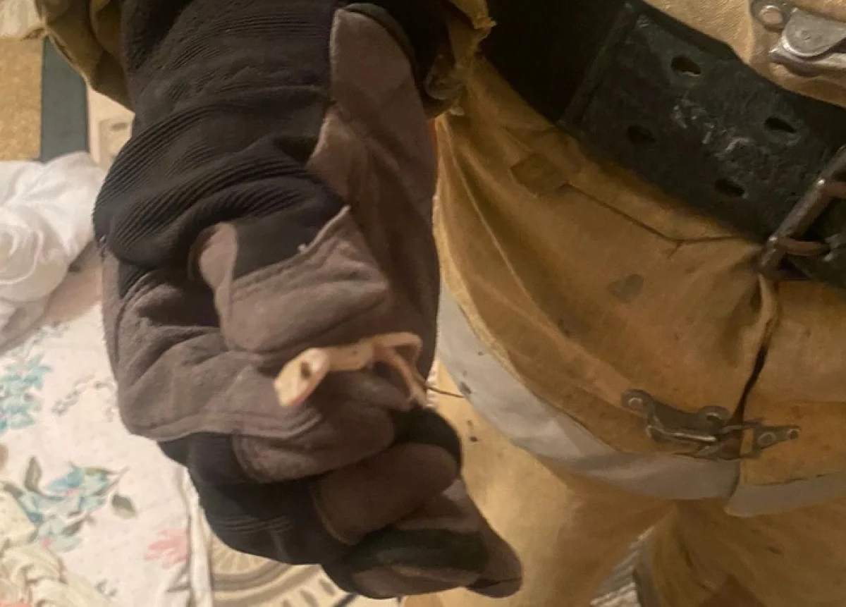 Фото пресс-службы ведомства