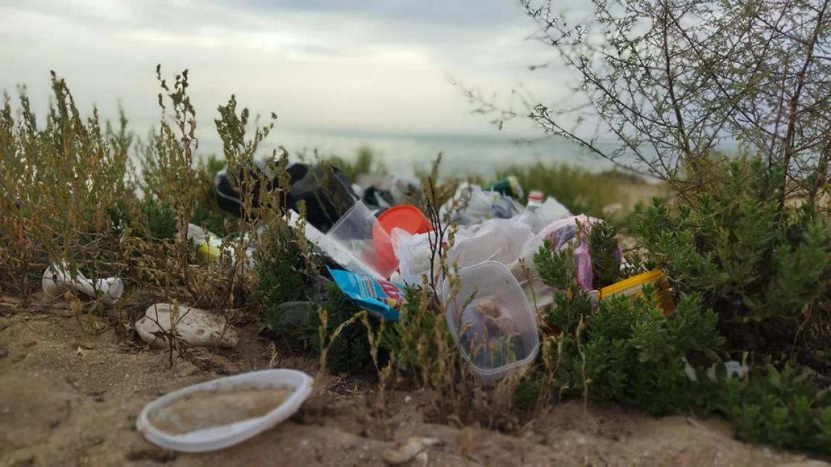 Фото местных жителей