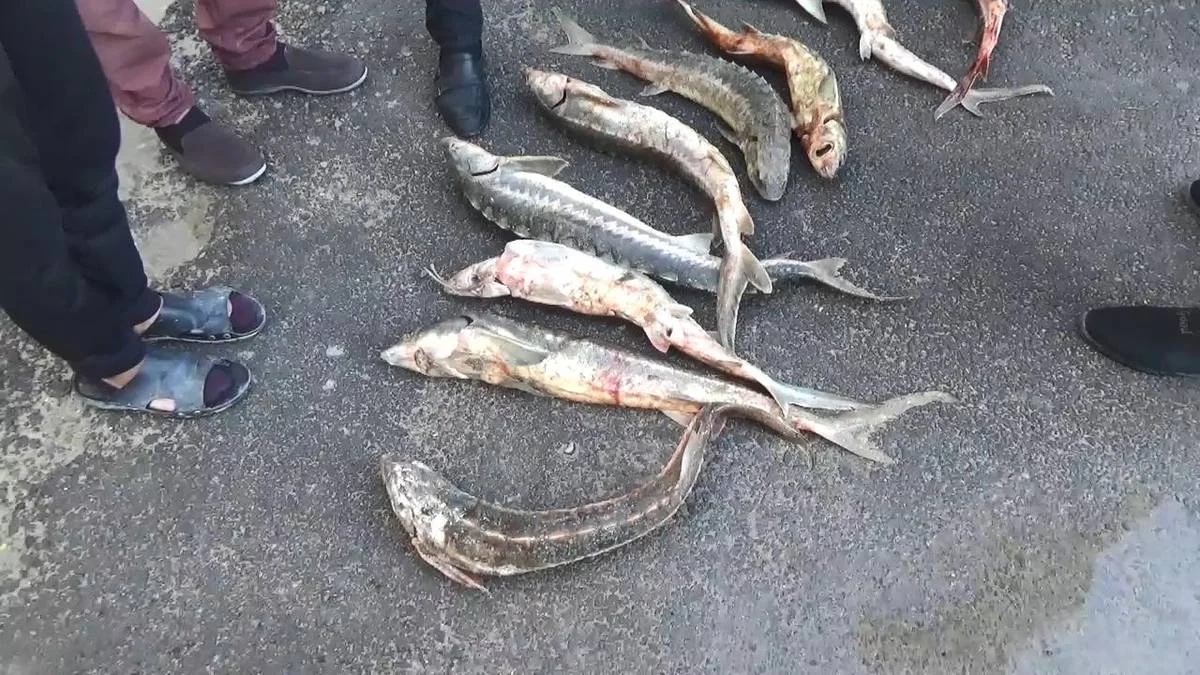 Фото пресс-службы ведомства