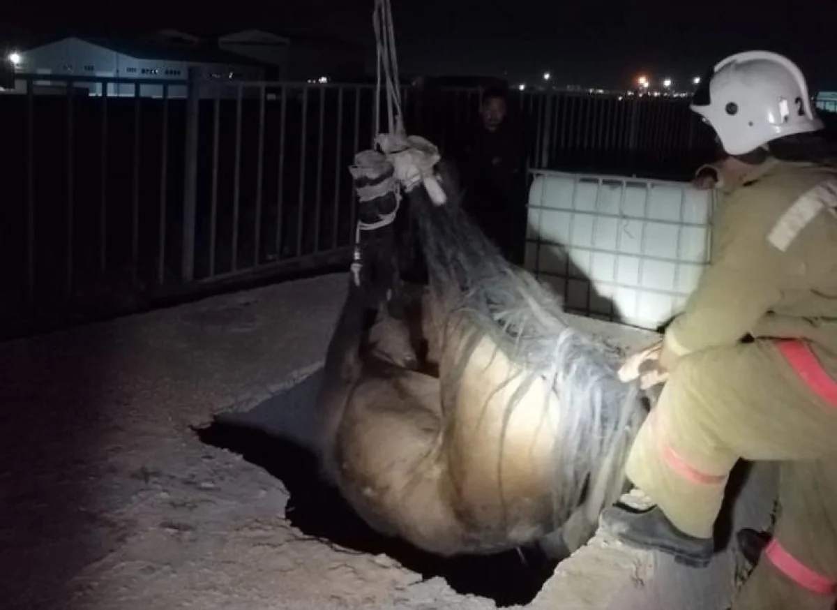 Фото пресс-службы ведомства