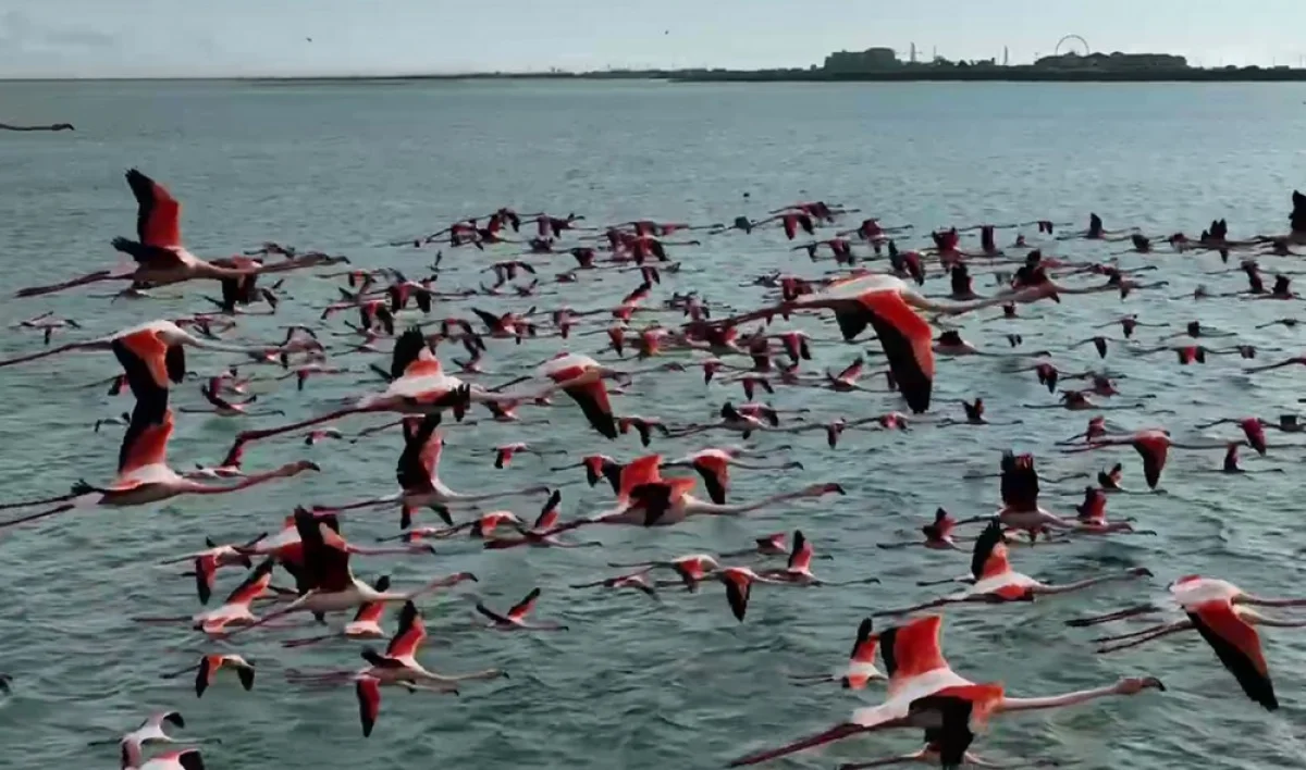 Иллюстративное фото из архива lada.kz