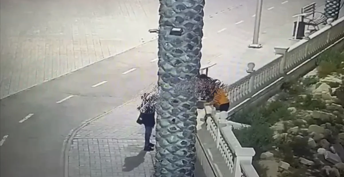 Фото: скриншот