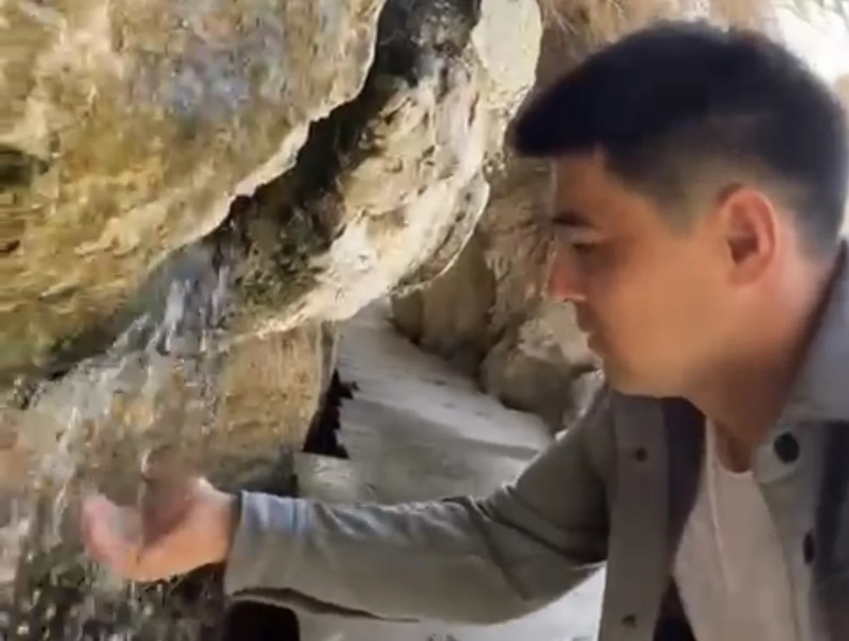 Фото: Скриншот