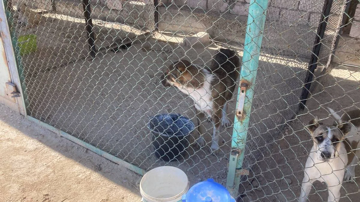 Фото предоставили в компании «ИП Абдол»