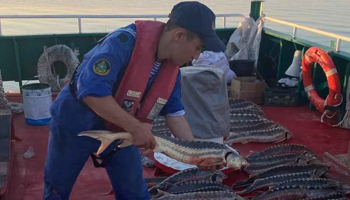Изъятый улов. Фото предоставлено пресс-службой департамента